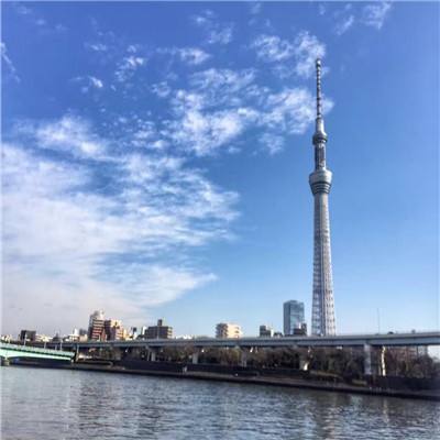 爱养成2破解版无限金币下载