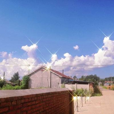 云歌之上红包版下载